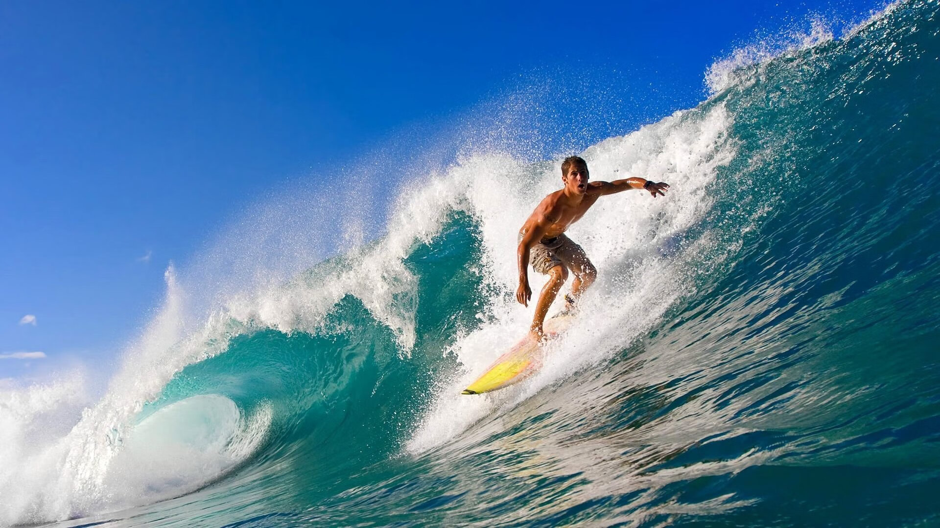 体育产业迎来新机遇，政策扶持与消费升级推动市场扩容